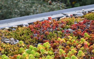 the cost of Foulford green roof installation