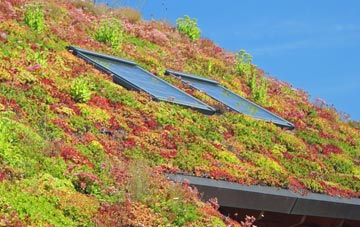 Foulford living roof systems